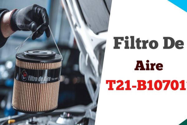 Filtro de Aire T21-B107011