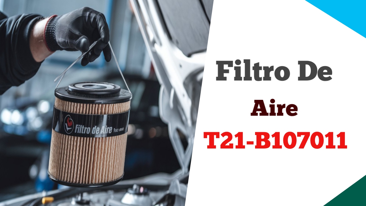 Filtro de Aire T21-B107011