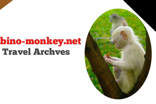 Albino-Monkey.net Travel Archives