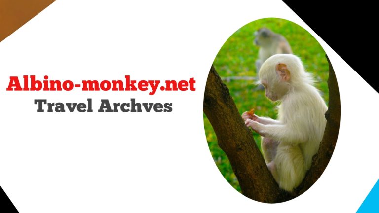 Albino-Monkey.net Travel Archives: Your Essential Travel Resource