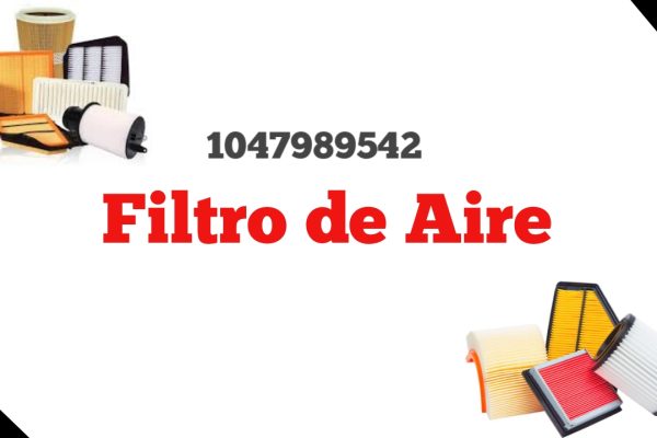 1047989542 Filtro de Aire