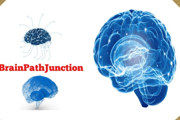 BrainPathJunction