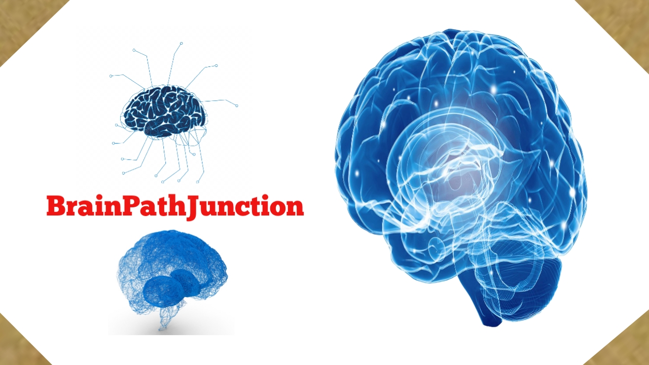 BrainPathJunction